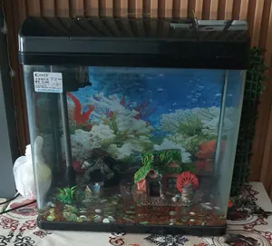 FISH AQUARIUM