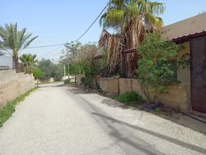 شقتين ارضيه و بيت اسكان / ديرعلا _ معدي