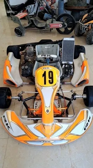 IAME MOTOR 39 hsp KART FOR SALE 2019