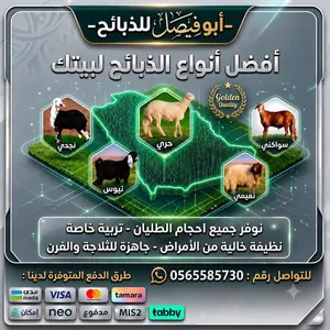 ذبايح. تيوس و طليان
