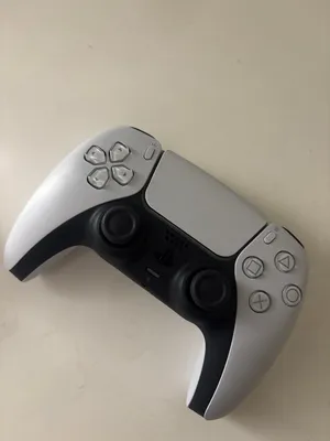 PS5 Controller