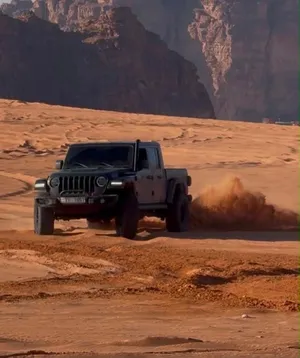 جيب قلادياتر