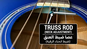 جيتار اكوسيتك كهوربائي او البدل مع اورج