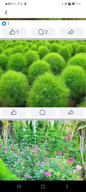 شقة للايجار