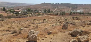 أرض إستثمارية للبيع 4550 م نادرة أم بطيمة الغربي بسعر مغري جدا