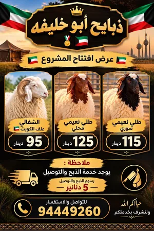 ذبايح أبو خليفه
