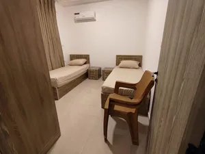 شقه مفروشه للايجار ـ ،