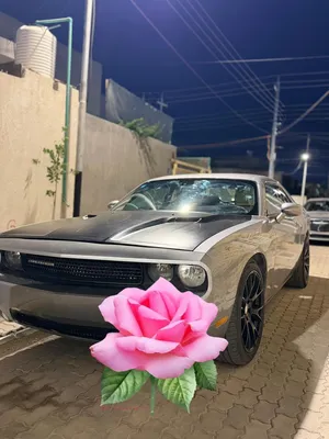سياره للبيع