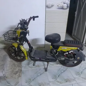 دراجة شحن للبيع ب 100 حجم 20 نوع HIS