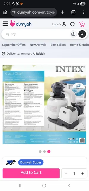 بركة سباحة مع فلتر رملي _Bestway Steel Pro Max Frame Pool 427 x 122 cm - INTEX sand filter 800 L / H