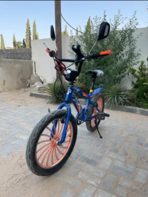 دراجه BMX24