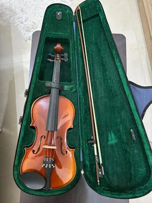 Violin Full Set for Sale – Beginner Friendly