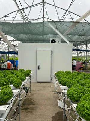 بيع و تركيب غرفة التبريد و التجميد cold room installation and sale cold storage freezer and chiller