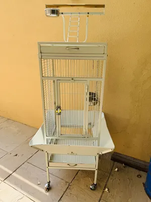 Bird cages available with good price at Khalifa City Abu Dhabi.