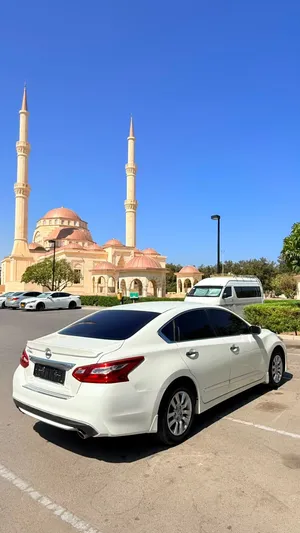 الالتيما البيع او بدل حادث خفيف جدا