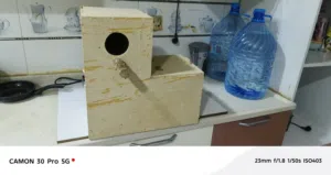 ابیت دکاذر دره البيع