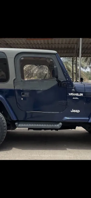 ابواب جيب رانجلر TJ
