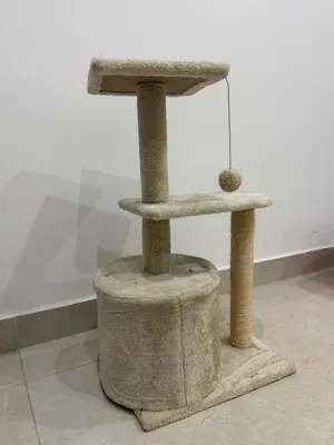 للبيع للقطط