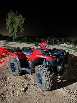 honda rubicon 2021