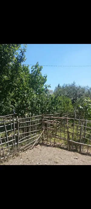Mixed Use Land for Sale in Tunis Other