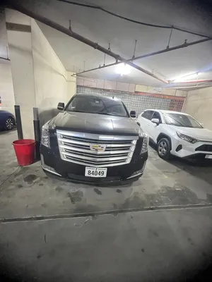 Used Cadillac Escalade in Ajman