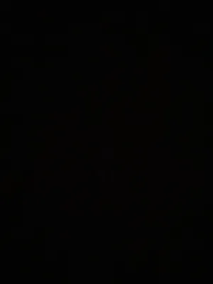 سلام عليكم إخواني منو عنده قفص كلاب يكلمني على الخاص إخواني وباي يكون السعر أقل