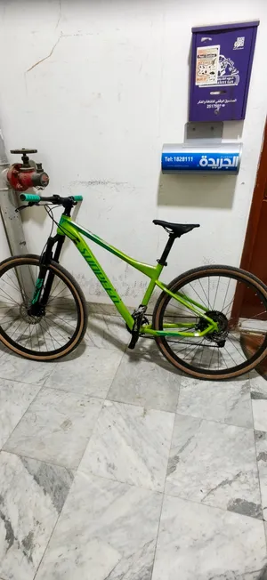 sunpeed rule bike 29er
