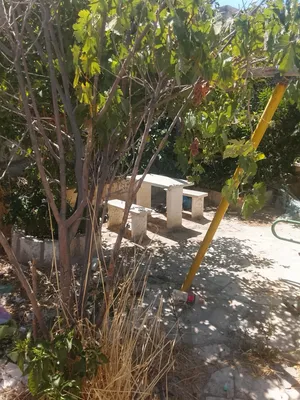 بيت مستقل  مع حديقه