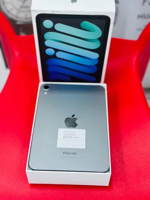 IPad mini 7 256 gb