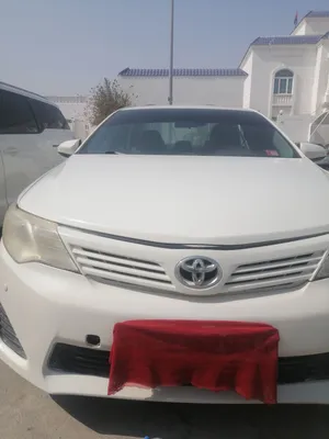 البيع بغرض السفر