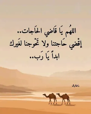 شقة للايجار