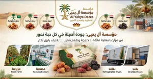 تمور ال يحيى جوده عاليه