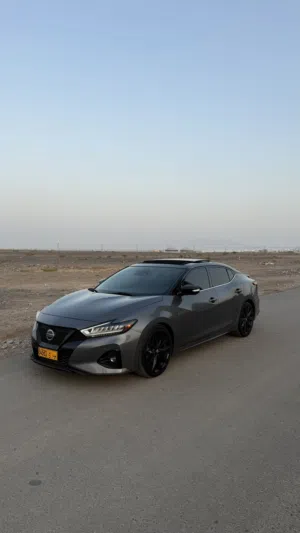 Used Nissan Maxima in Muscat
