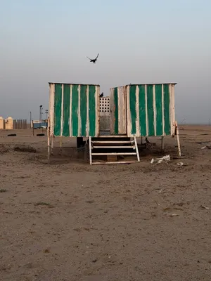 للبيع برج حمام