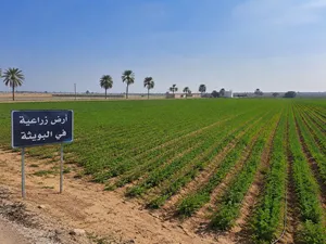 Farm Land for Sale in Baghdad Mahmudiyah