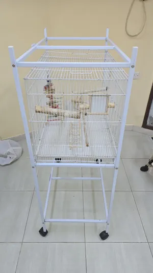 Birds cage in Mint Condition