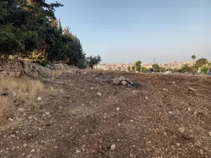 السلط البقيع مثلث صبحي البحبوح