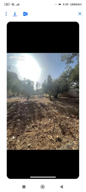 قطعة ارض عليها منزل مساحة الأرض دونم و360 متر مشجرة زيتون في محافظة اربد منطقة ايدون تصلح لبناء فيلا