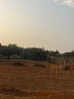 قطعة. أرض للبيع علي طريق المشتل