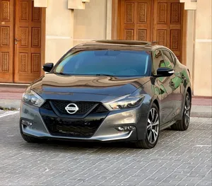 Used Nissan Maxima in Sharjah