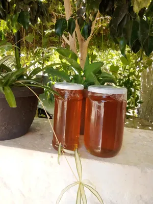 عسل طبيعي 100% غير مغذى نهائيا جاهز للفحص باي مكان