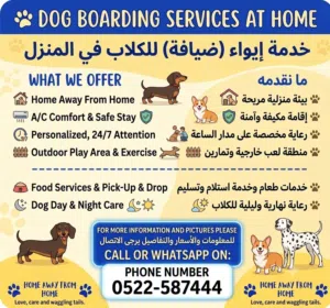 خدمة ايواء للكلاب dogs boarding