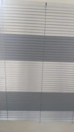 زيبرا الالمنيوم برداي