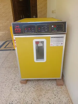 فقاصة كتاكيت