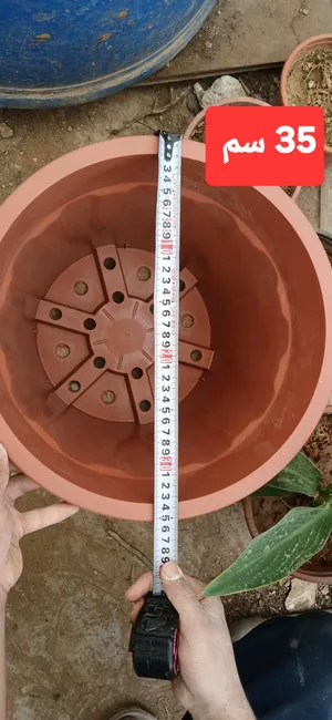اصيص زراعه جميع الاحجام