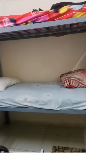 Furnished Monthly in Sharjah Rolla Area