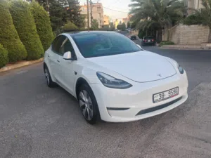 تيسلا Y لونغ رينج 7 مقاعد