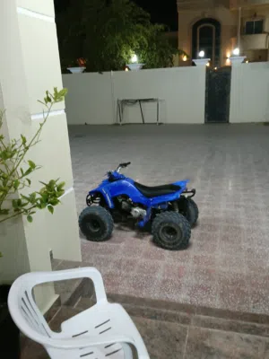 Yamaha Raptor 80 For sale (I need to sell fast)