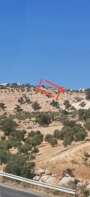 أرض من أراضي غرب عمان للبيع (بدر الجديدة)