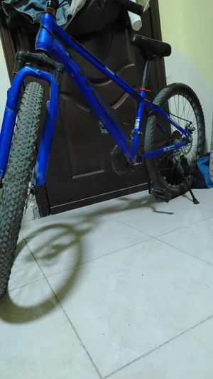 بسكليت صيني جنط 24